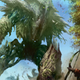 Image for article titled Magic: the Gathering's Summer Set Preview -- Megantic Sliver